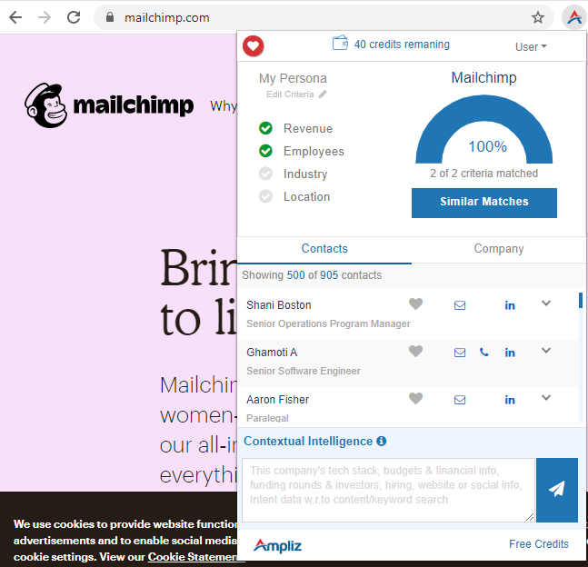 Ampliz Salesbuddy - sales intelligence tool
