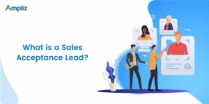 what is a sales accepted lead?