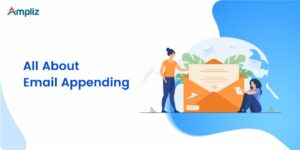 what is email appending