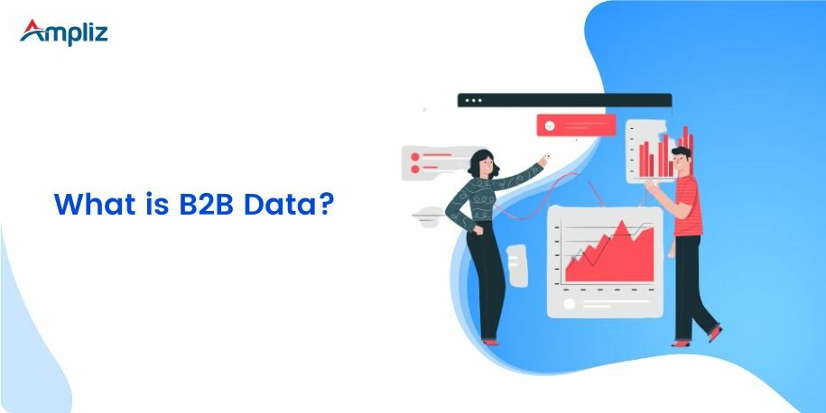 what is b2b data?