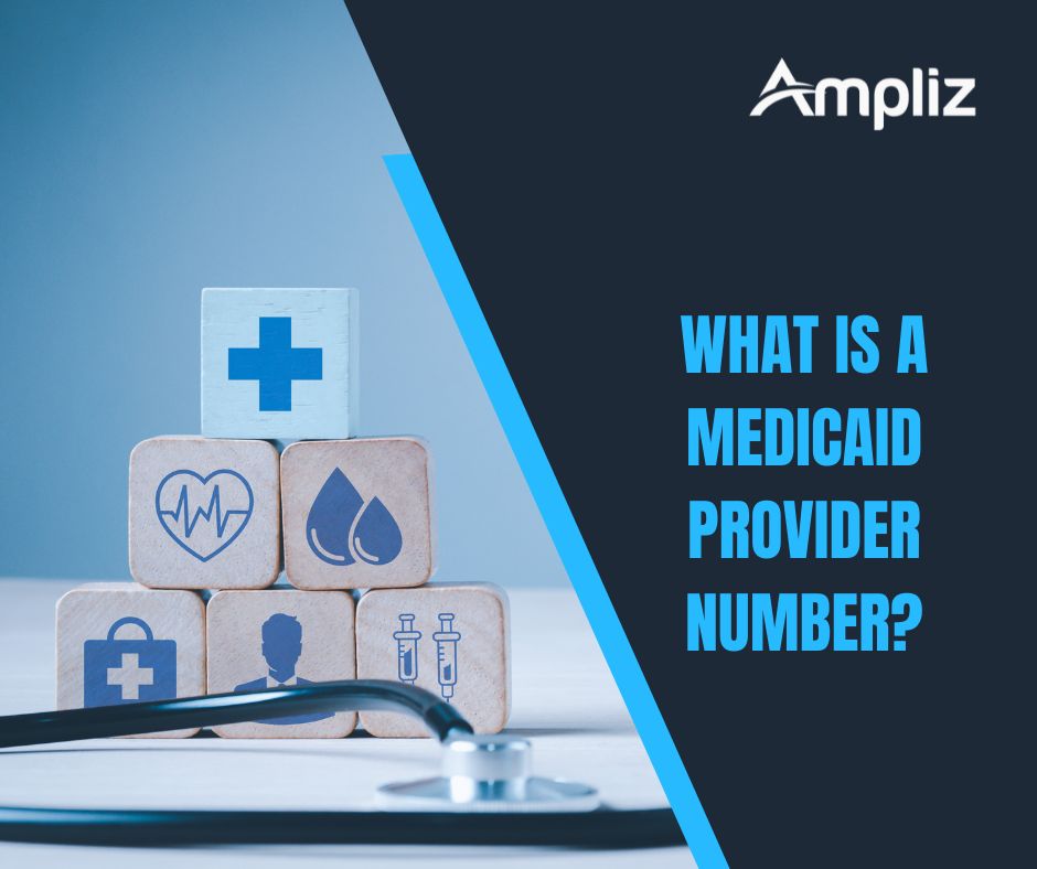 What is a Medicaid Provider Number