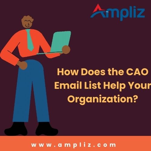 How does the CAO email address help your organization