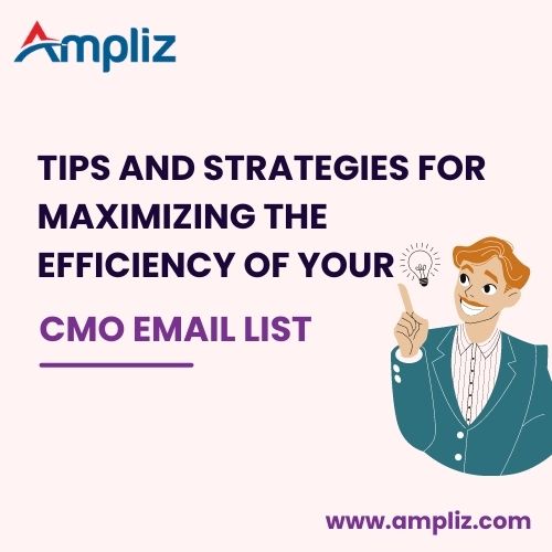 Maximizing the Efficiency of Your CMO Email List