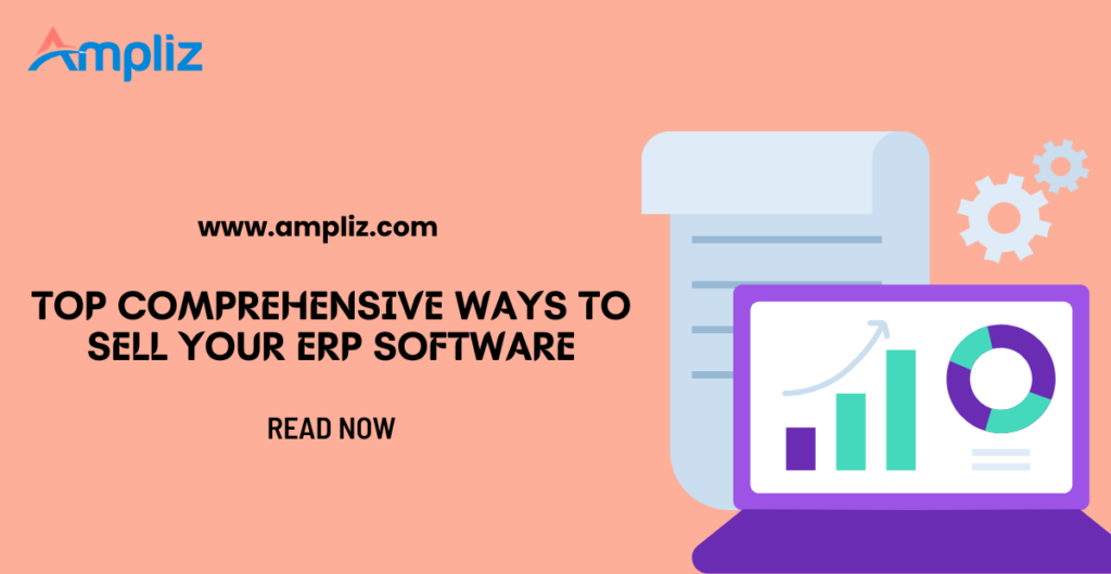 how to sell erp software