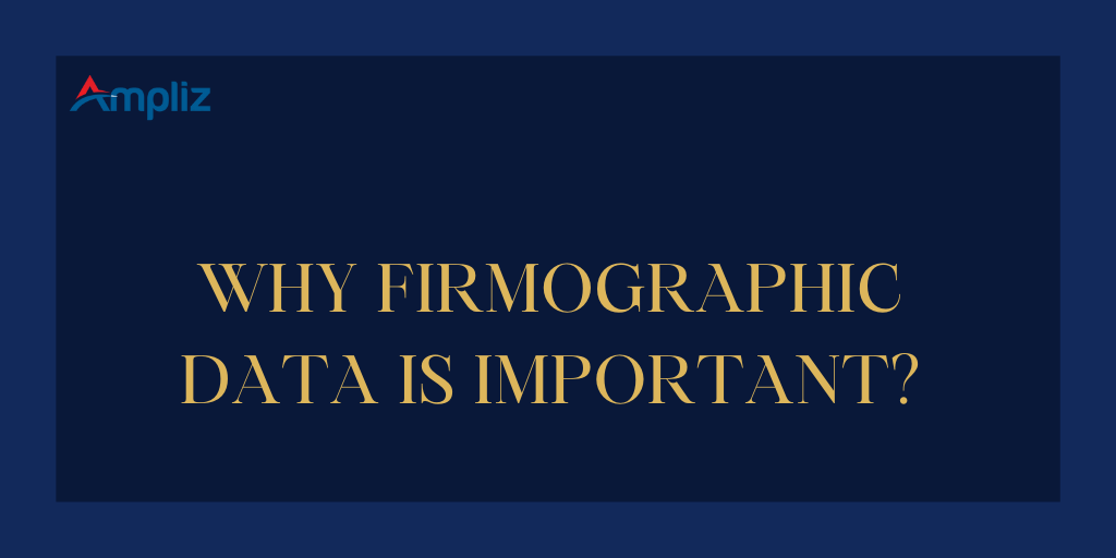 why firmographic data is important