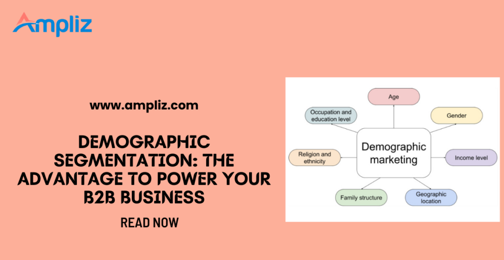 demographic segmentation